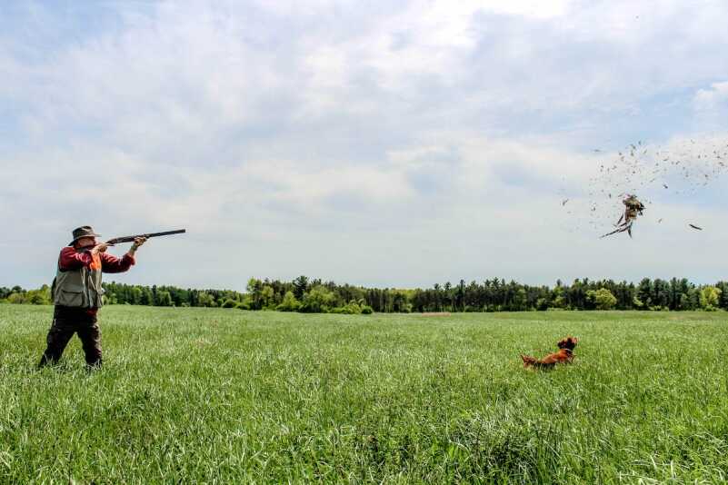 A Class Act: Fausti Class LX 28 Gauge — Full Review