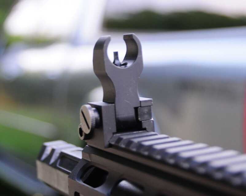 A Carbine for All Occasions —&nbsp;DoubleStar ARC 300