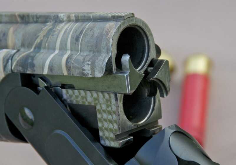 Waterfowl Artillery: CZ Swamp Magnum