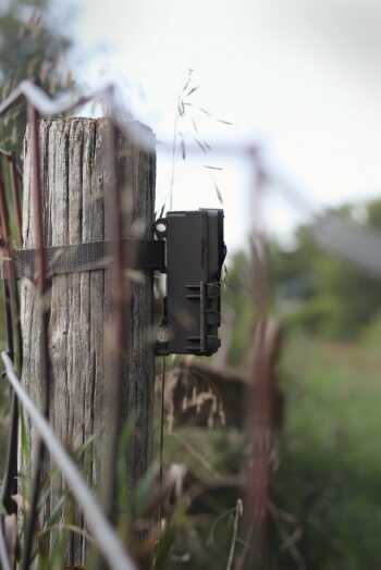 2017's Top 5 Best Days of the Whitetail Rut