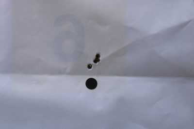 Hunting Wolves with the Browning X-Bolt Hell's Canyon Speed