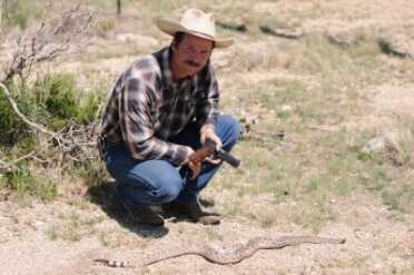 Cartridge Showdown: 9mm Versus .45 ACP