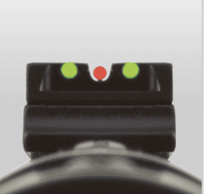 Black Bear vs. the Mossberg 464 SPX Lever Gun