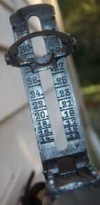 A Mosin-Nagant for the US Army? A Mosin-Nagant for the US Army?