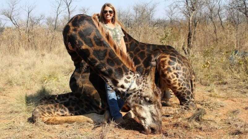 Kentucky Woman Slammed as ‘White American Savage’ for Hunting 'Black' Giraffe Kentucky Woman Slammed as ‘White American Savage’ for Hunting 'Black' Giraffe