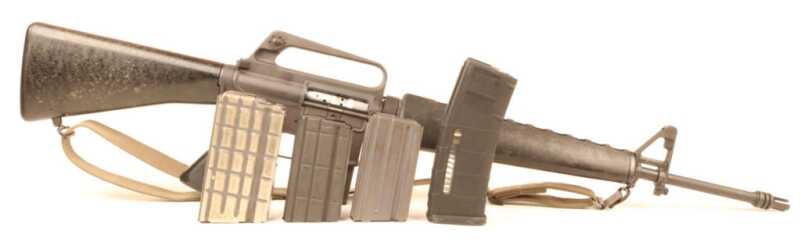 The Origin of the Species: The Model 602 M16 The Origin of the Species: The Model 602 M16