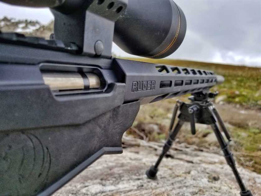 Ruger Precision Rimfire .22 LR: Review