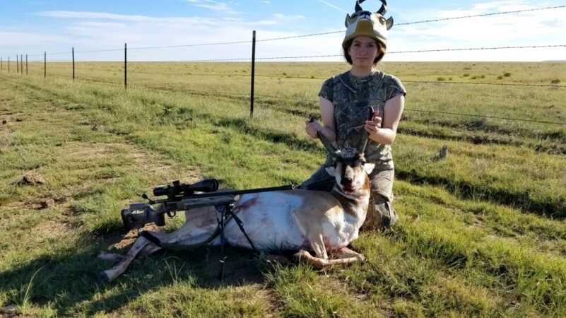 Upgrading the Mossberg Patriot Predator with a Boyds Pro Varmint Stock