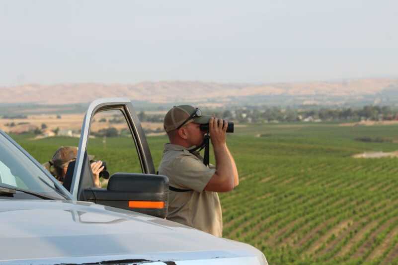 First Deer of the Year First Deer of the Year