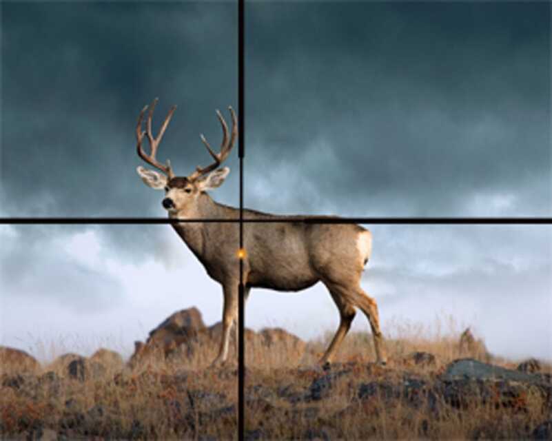 TriggrCon Firearms Convention Showcases New Products