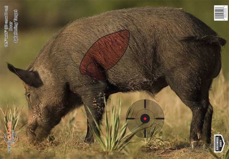 The Indomitable .40 S&W Goes Hog Hunting The Indomitable .40 S&W Goes Hog Hunting