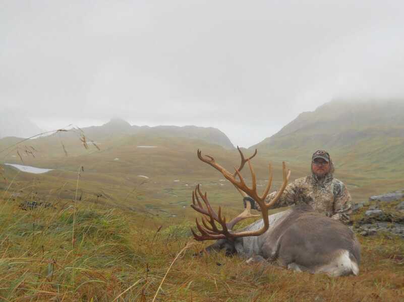 Aleutian Adventures - Caribou Aleutian Adventures - Caribou