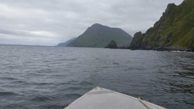 Aleutian Adventures - Caribou Aleutian Adventures - Caribou