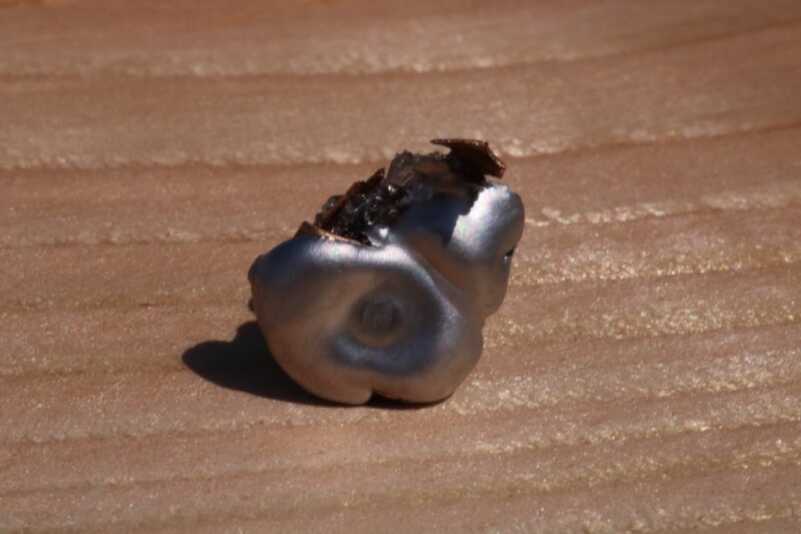 Hornady Sub X, Critical Defense Rifle, and Frontier Ammo Reviewed