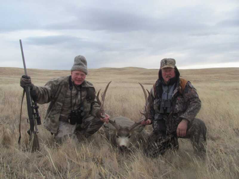 Looking for Big Mule Deer Looking for Big Mule Deer