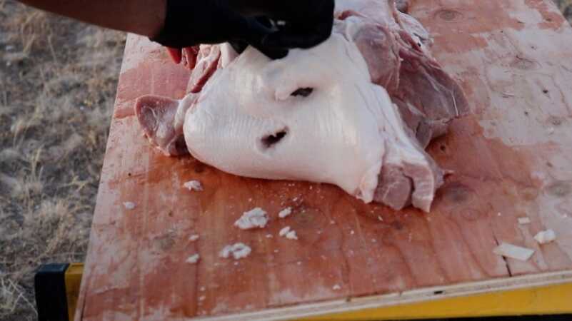 G9 Bullets: Something Wicked This Way Comes