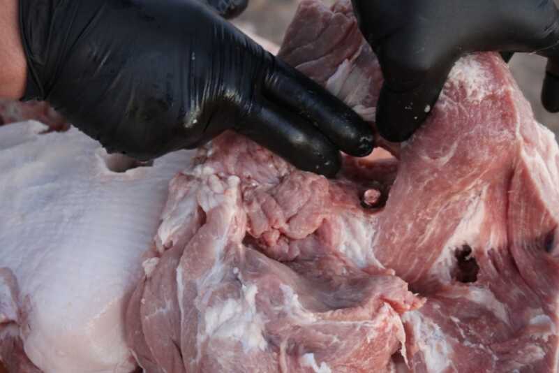 G9 Bullets: Something Wicked This Way Comes