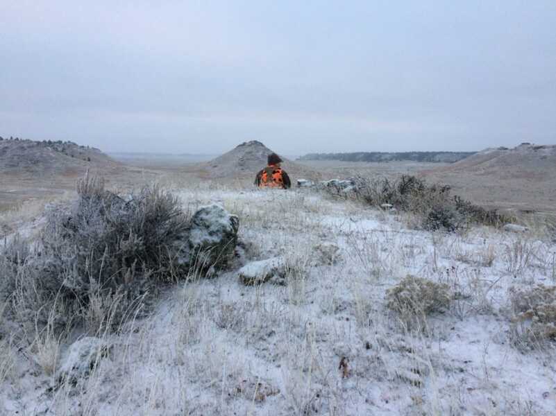 The Birthday Buck | Watch Video The Birthday Buck | Watch Video