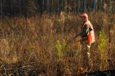 North Carolina Constitutionally Enshrines the Right to Hunt North Carolina Constitutionally Enshrines the Right to Hunt