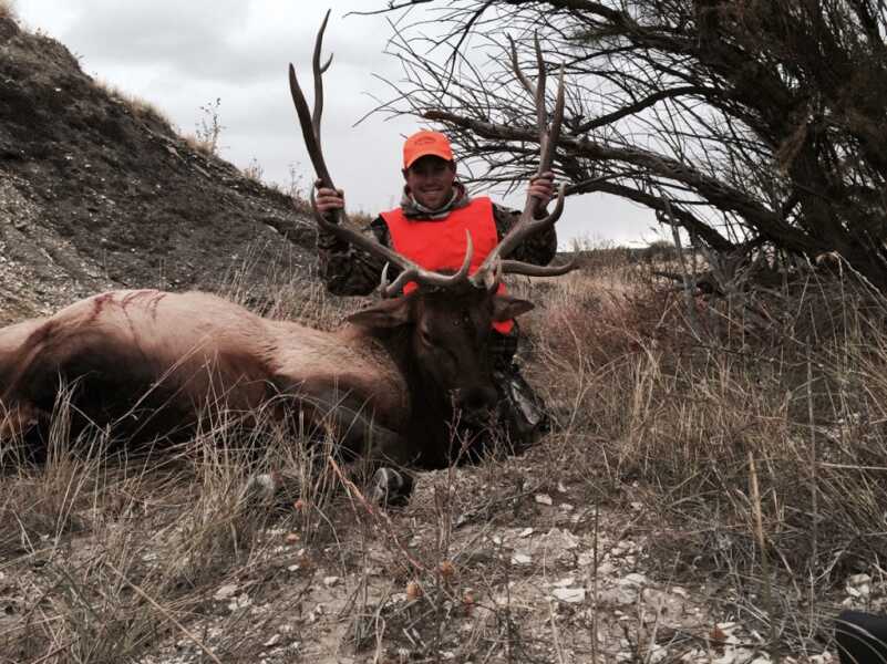 Elk Draw - Tips For Success