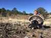 Spring Turkey Hunting Is Coming and It& 8217;s a Great DIY Hunt Opportunity