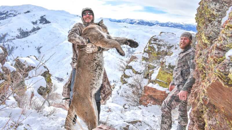 Simple Gourmet: Sweet & Sour Mountain Lion Simple Gourmet: Sweet & Sour Mountain Lion