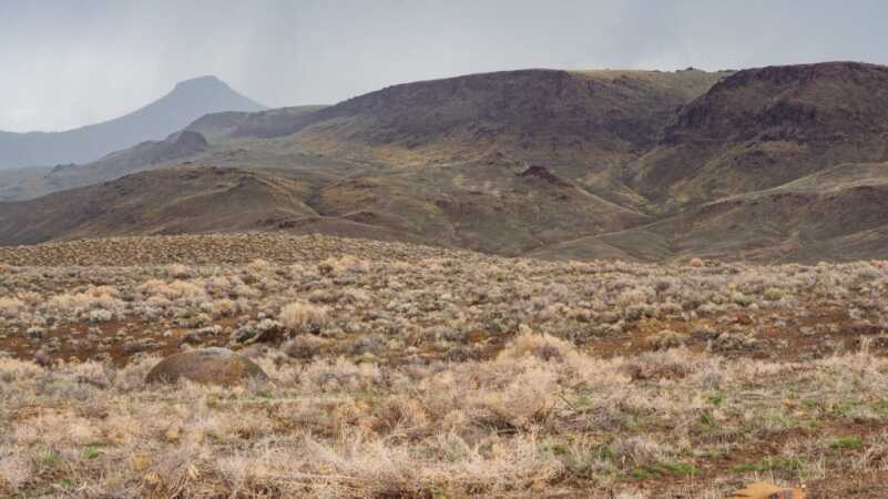 You Should Hunt More Rabbits You Should Hunt More Rabbits