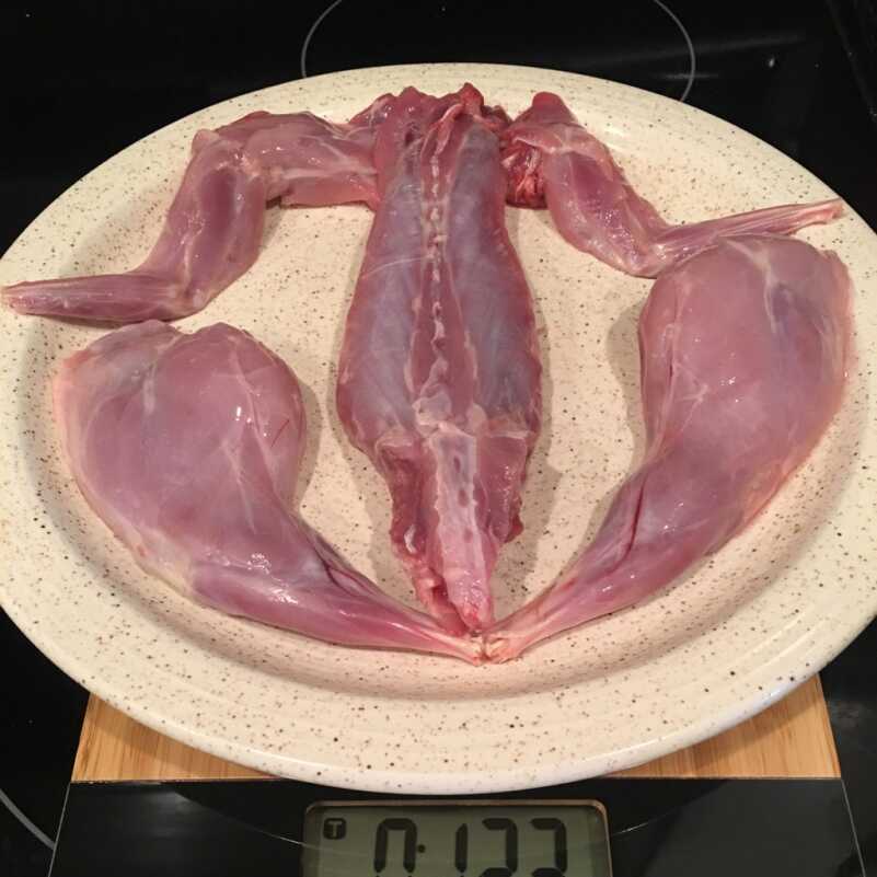 You Should Hunt More Rabbits You Should Hunt More Rabbits