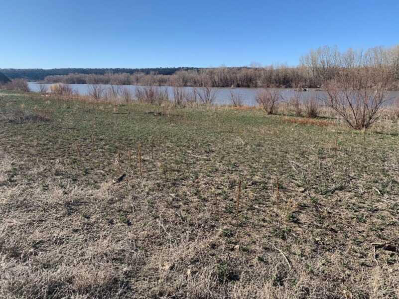 Turkeys: Public Land Diplomacy Turkeys: Public Land Diplomacy