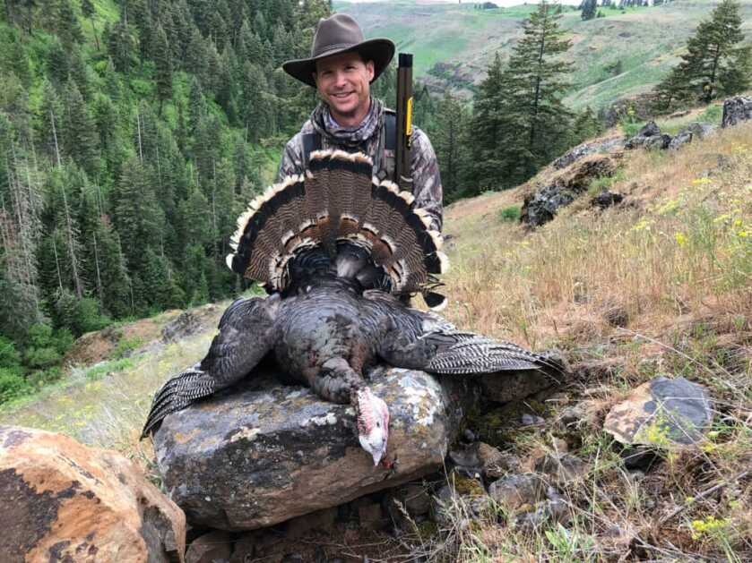 Browning Cynergy Shotgun Review Browning Cynergy Shotgun Review