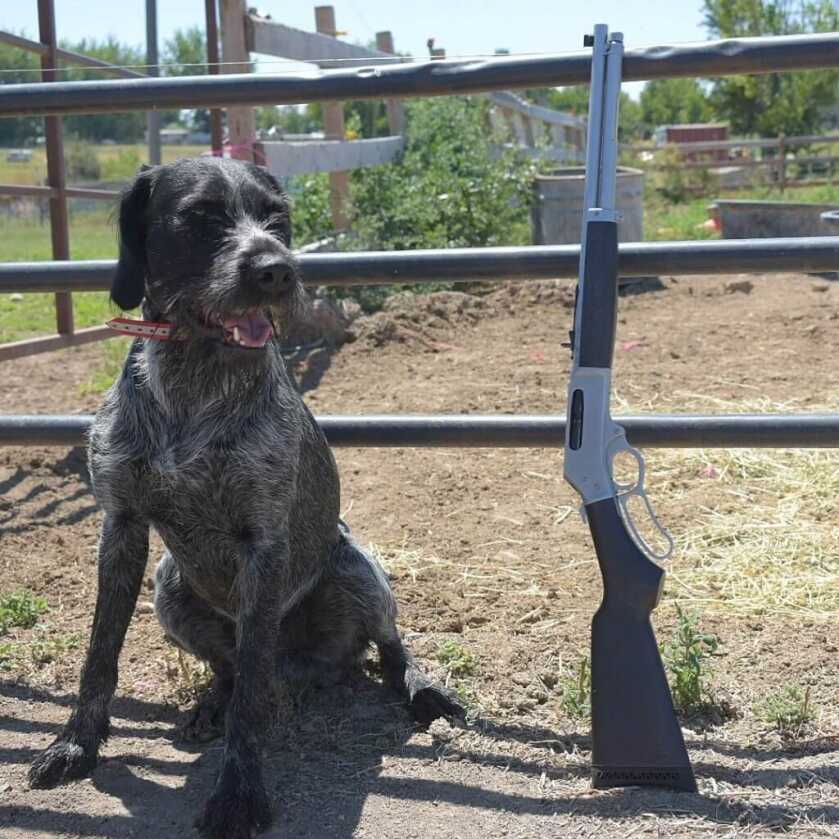 The Most American Rifle? Henry .45-70 All-Weather Lever Action: Reviewed The Most American Rifle? Henry .45-70 All-Weather Lever Action: Reviewed