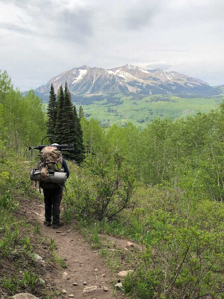 Summer Scouting Summer Scouting