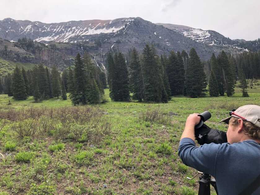 Summer Scouting Summer Scouting