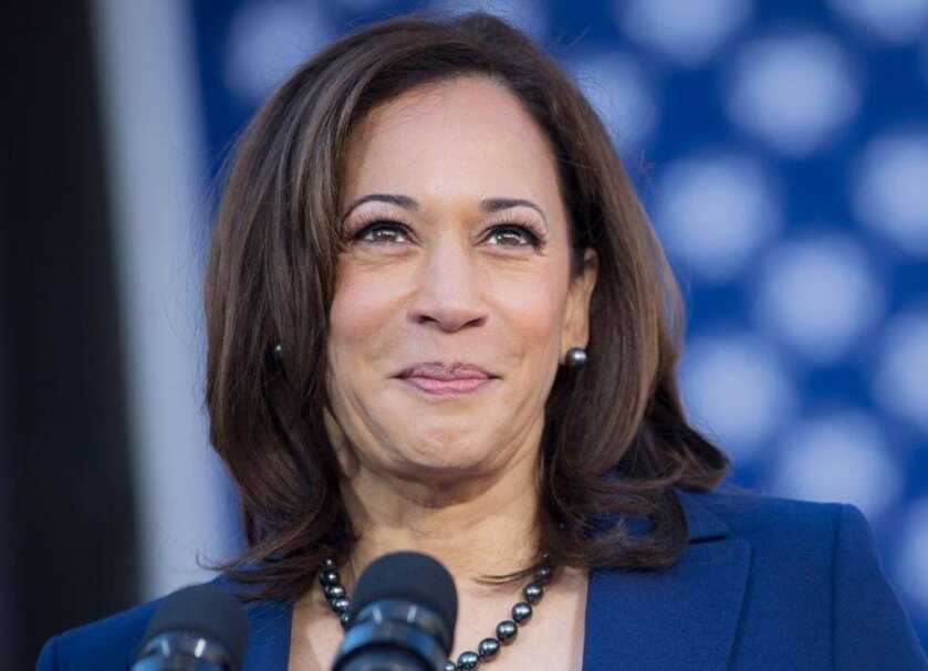 Kamala Calls for ‘Domestic Terrorism Prevention Orders’ to Seize Guns from White Nationalists Kamala Calls for ‘Domestic Terrorism Prevention Orders’ to Seize Guns from White Nationalists