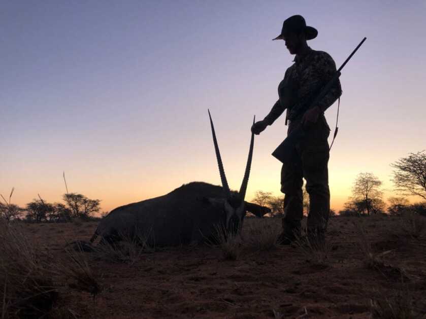 New Federal .284/7mm 155 Grain Edge TLR Bullet Review New Federal .284/7mm 155 Grain Edge TLR Bullet Review