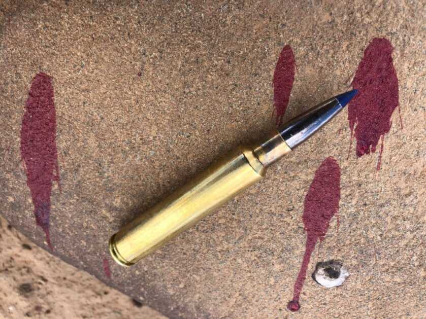 New Federal .284/7mm 155 Grain Edge TLR Bullet Review New Federal .284/7mm 155 Grain Edge TLR Bullet Review