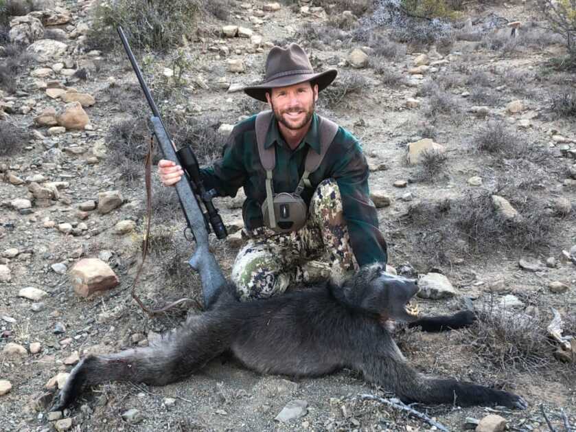 New Federal .284/7mm 155 Grain Edge TLR Bullet Review New Federal .284/7mm 155 Grain Edge TLR Bullet Review