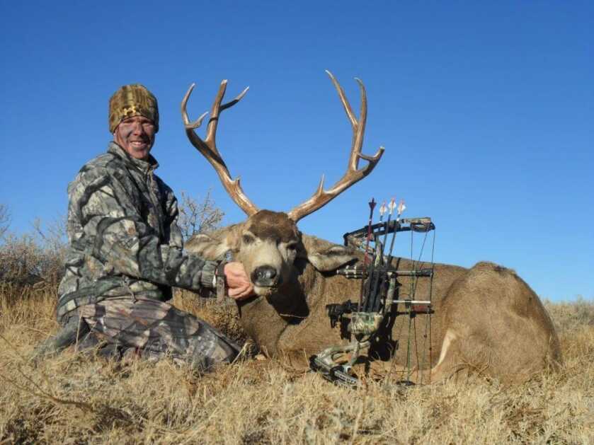 November Mulies? Yes, Please! November Mulies? Yes, Please!