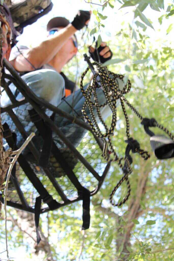 November Mulies? Yes, Please! November Mulies? Yes, Please!