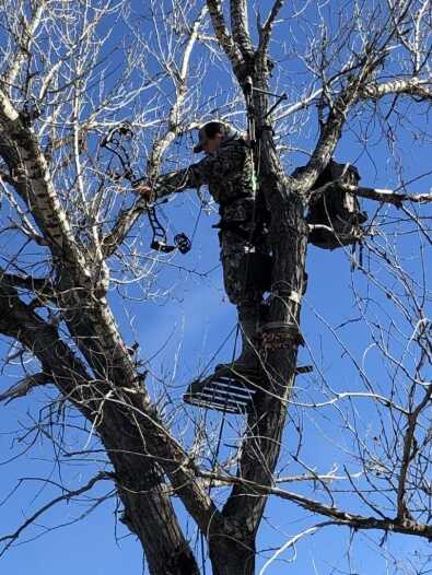 November Mulies? Yes, Please! November Mulies? Yes, Please!