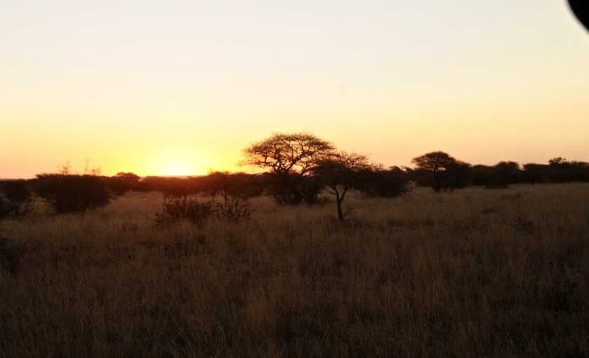 The Affordable Safari; Your African Dream Hunt, Part III The Affordable Safari; Your African Dream Hunt, Part III