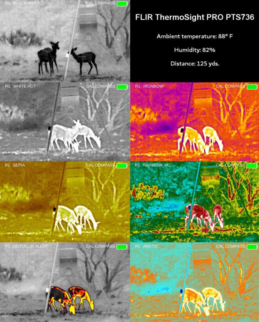 Eliminate Darkness with the FLIR PTS736 Thermosight Pro - Full Review Eliminate Darkness with the FLIR PTS736 Thermosight Pro - Full Review