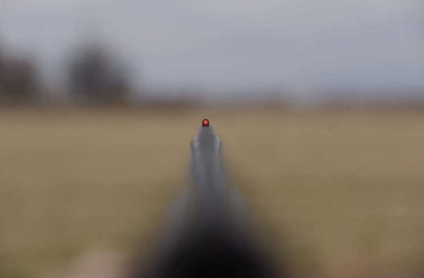 Silver Eagle's Light Super 20 Gauge Over Under gets Field Tested: Full Review