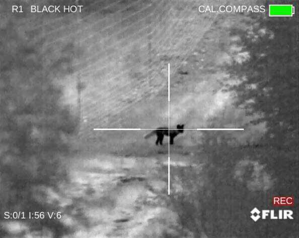 Eliminate Darkness with the FLIR PTS736 Thermosight Pro - Full Review Eliminate Darkness with the FLIR PTS736 Thermosight Pro - Full Review