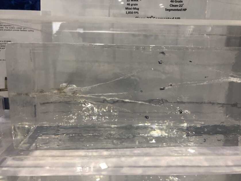 CCI Clean-22 Segmented HP 22 WMR - SHOT Show 2020