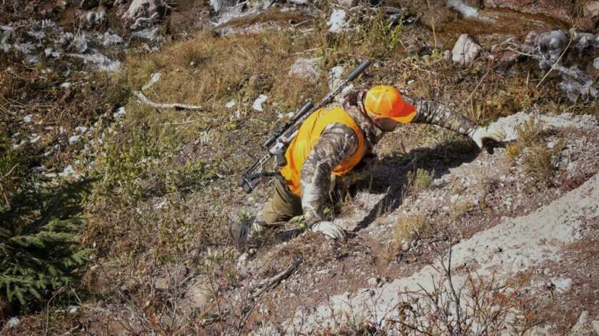 Unforgettable Elk Hunt With the SIG CROSS Rifle in .277 SIG FURY Unforgettable Elk Hunt With the SIG CROSS Rifle in .277 SIG FURY