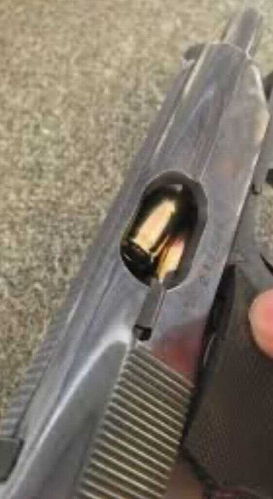 The Boxer That Saved a Princess: “Not Bloody Likely!”