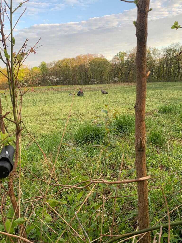 Turkey Gear For Success Turkey Gear For Success