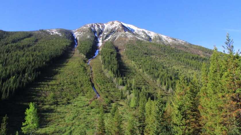 Spring Spot & Stalk Black Bear Hunting