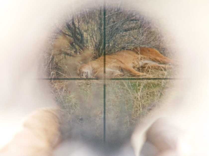 The Worst April Fools Joke Ever